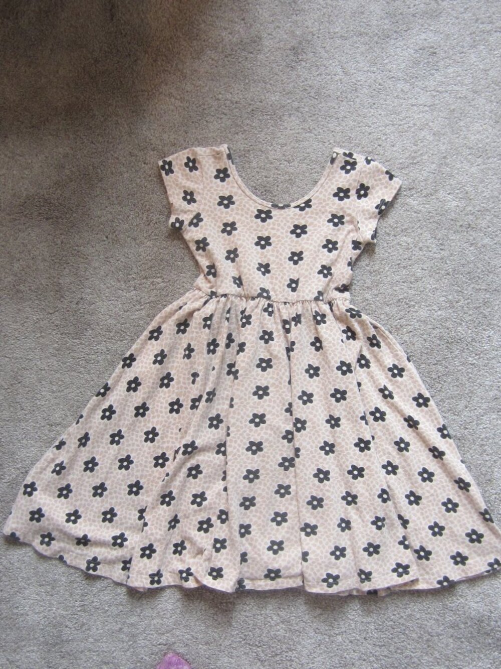Alice + Ames Flower Print Circle Skirt Dress size 8